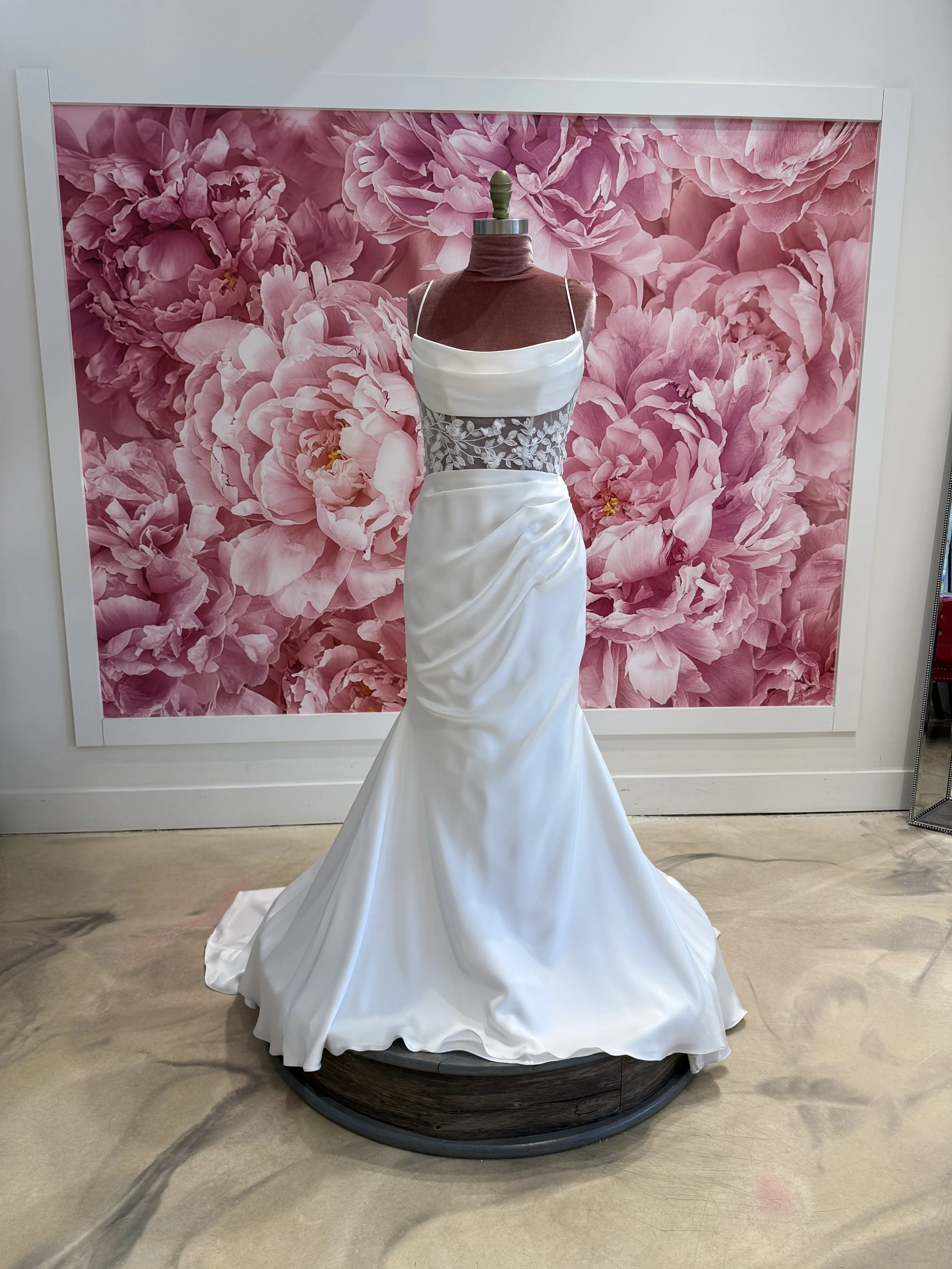 Photo Mar 13 2026, 3 35 32 PM.jpg