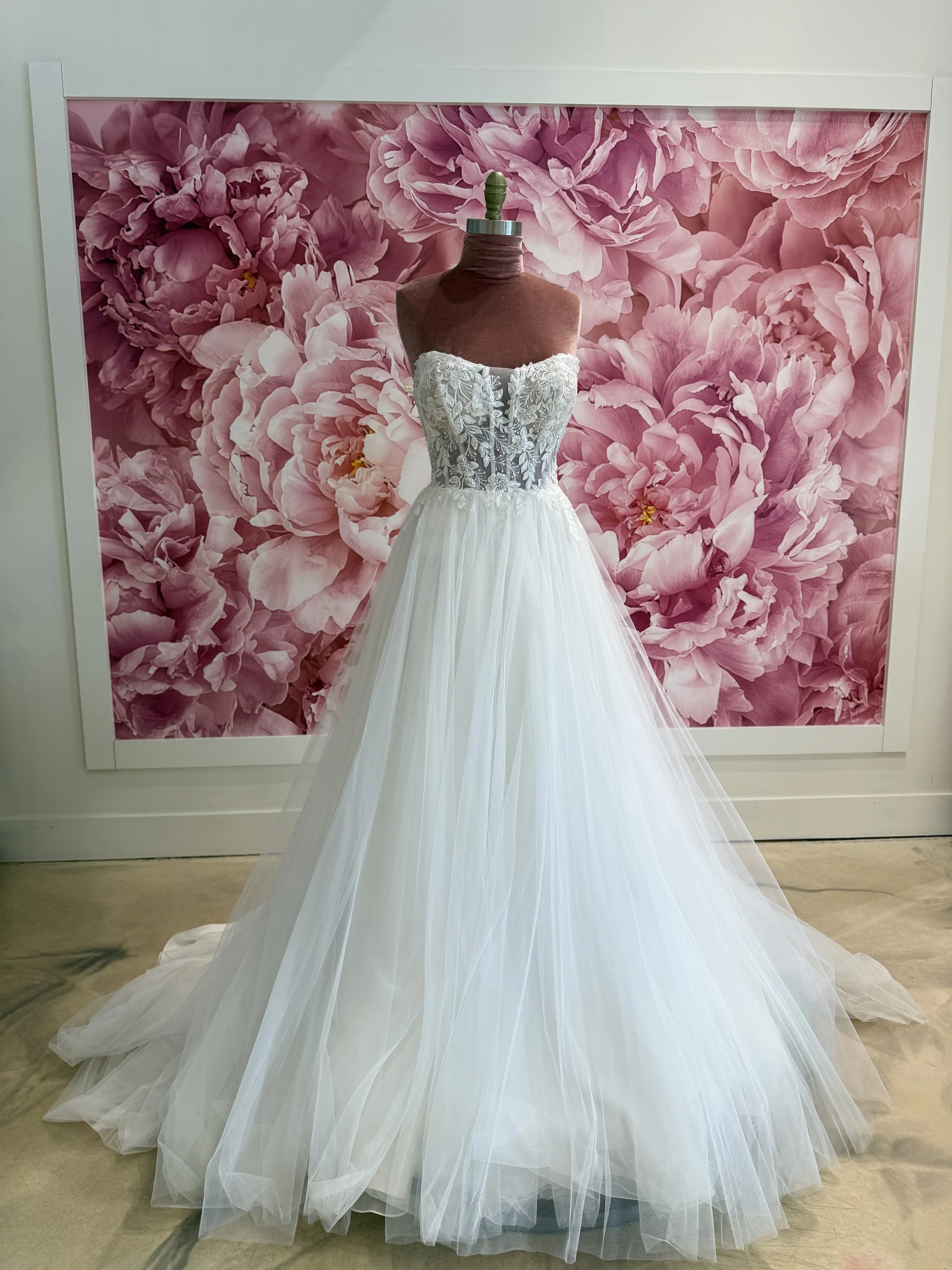 Photo Mar 13 2026, 1 52 13 PM.jpg