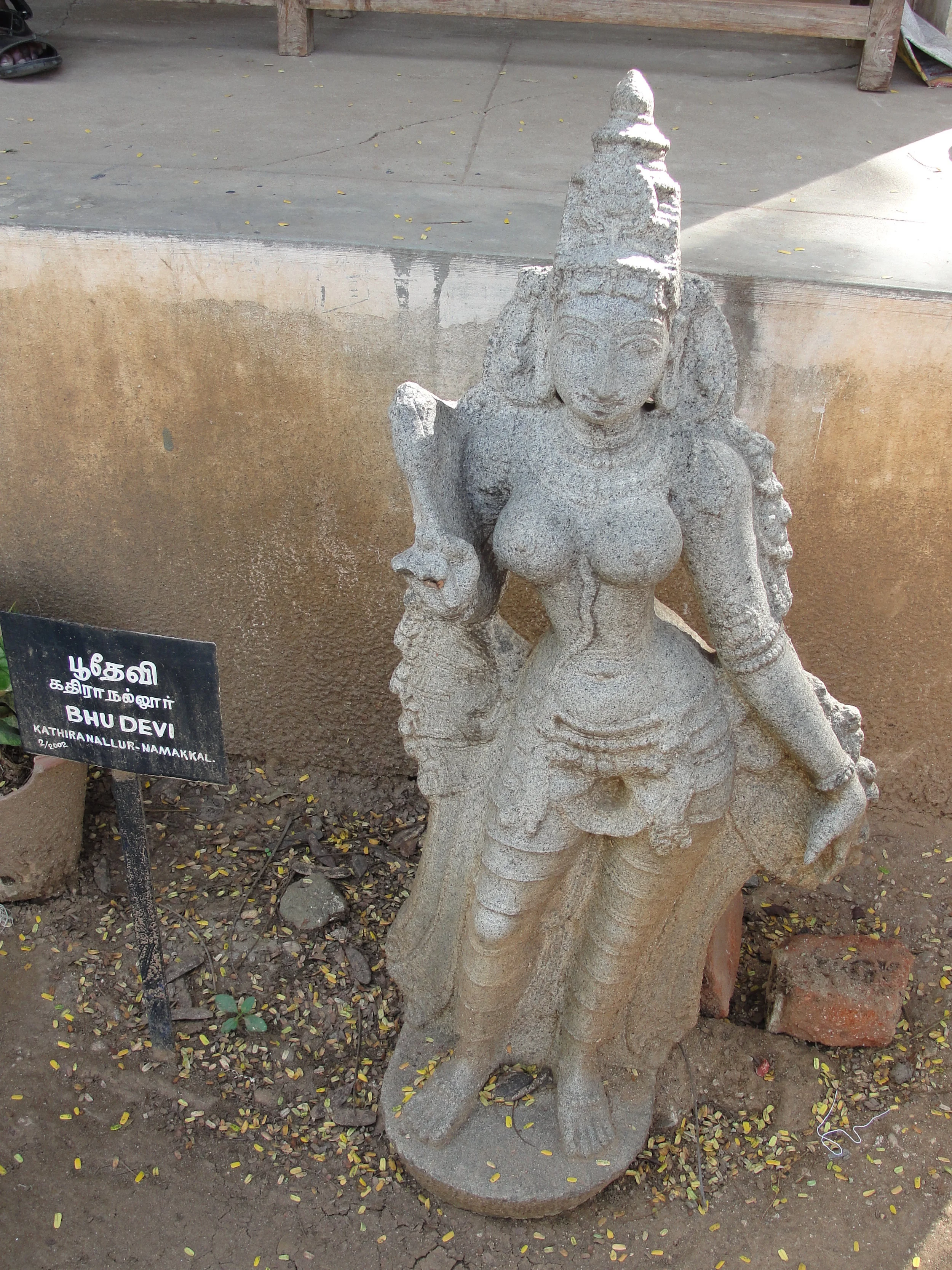 Anterior Circuit — The Engine — Neidan and Yoga