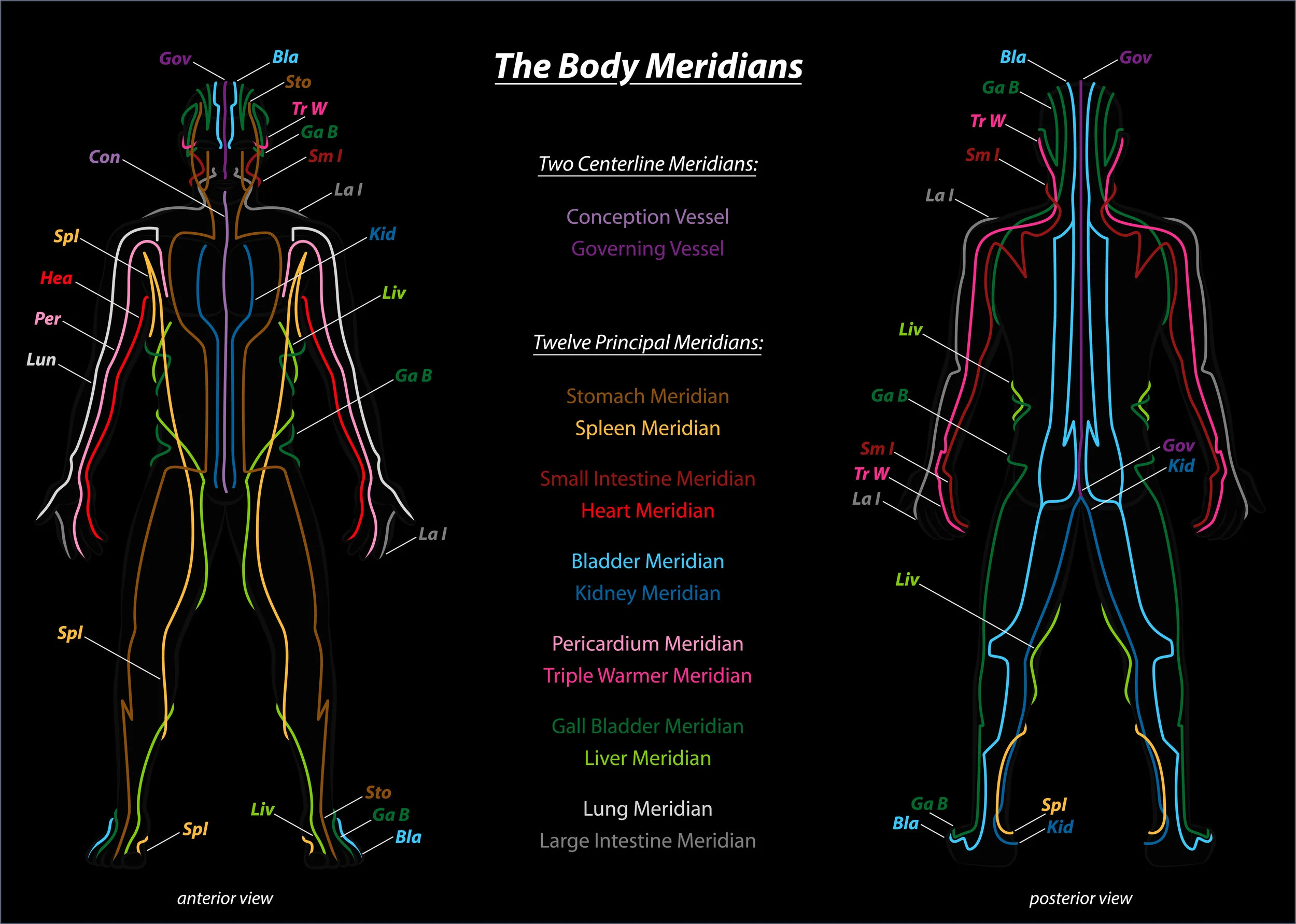 The 14 major Meridians of Chinese Medicine - actually, according to Daoist yogis, there are thousands of meridians but these 14 provide a basis for building a simplified body mandala that still gets the job done