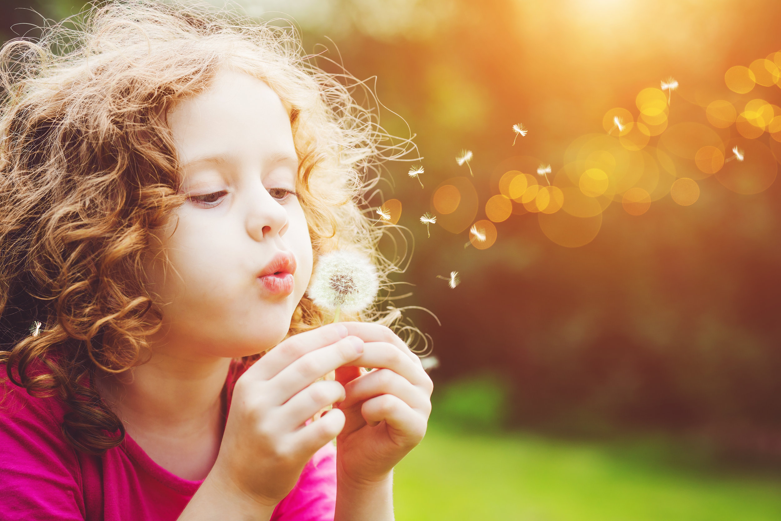 Sweet, beautiful, innocent … plain and simple. just right … and yet, a little too sleepy for Light!