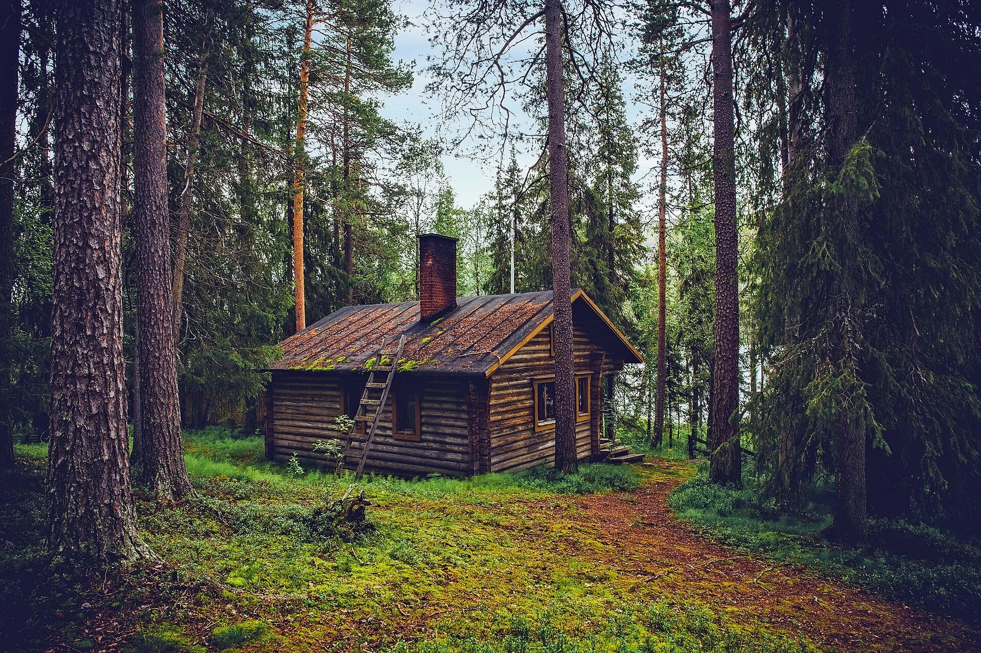Image by David Mark from Pixabay