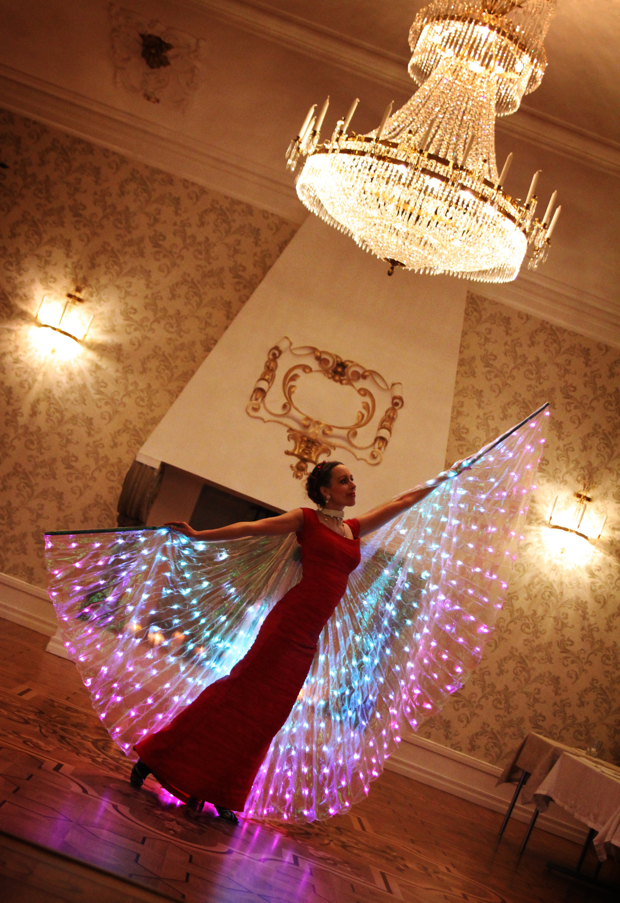 LED vingar2.jpg