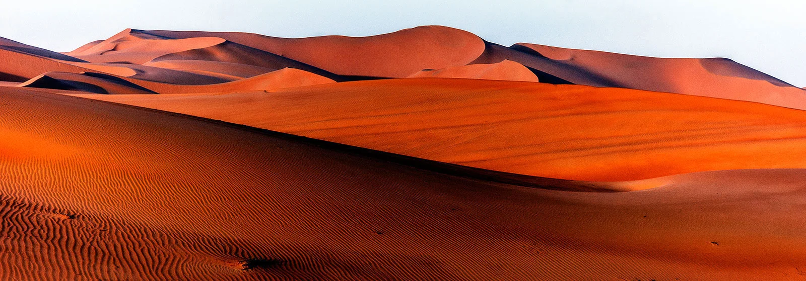 Liwa.1.web.jpg