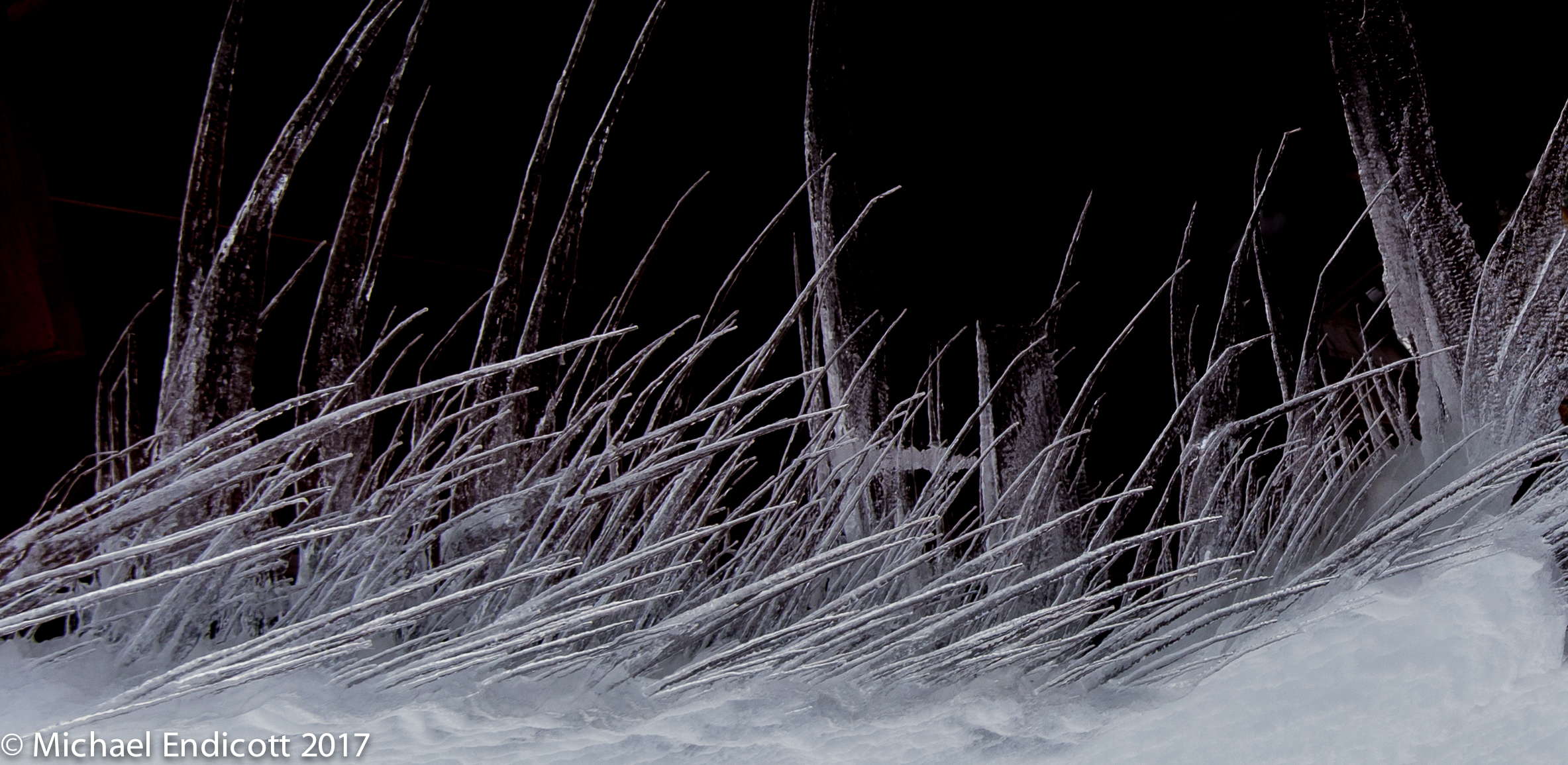 Winter's Garden