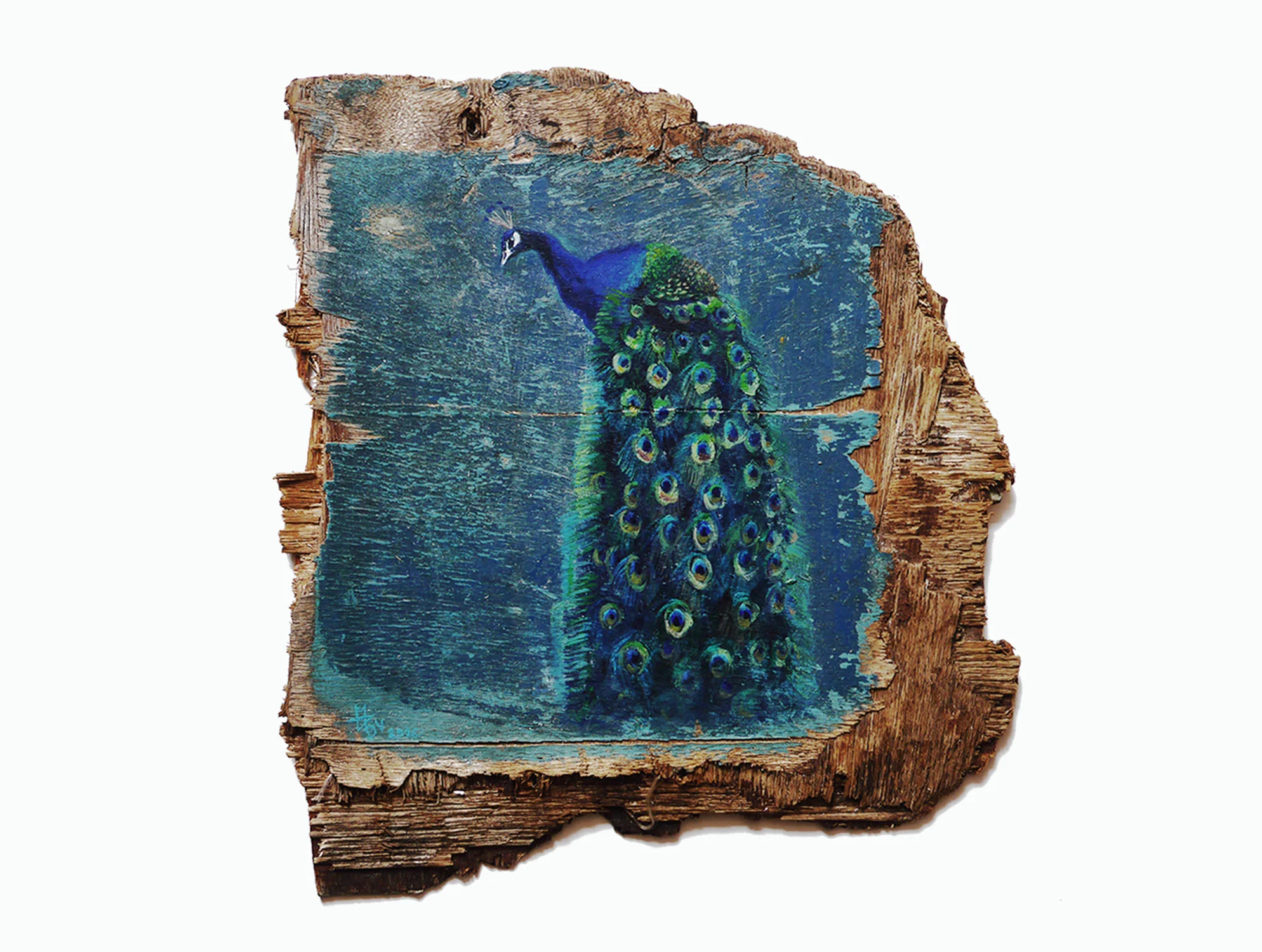On_the_Line_green peafowl_1500p height.jpg