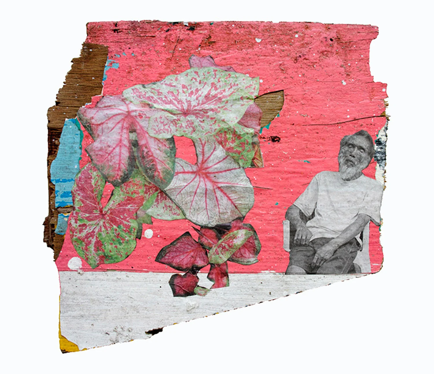 Traces_Afternoon_Poetry_72dpi_1500p width_18-x-17.jpg