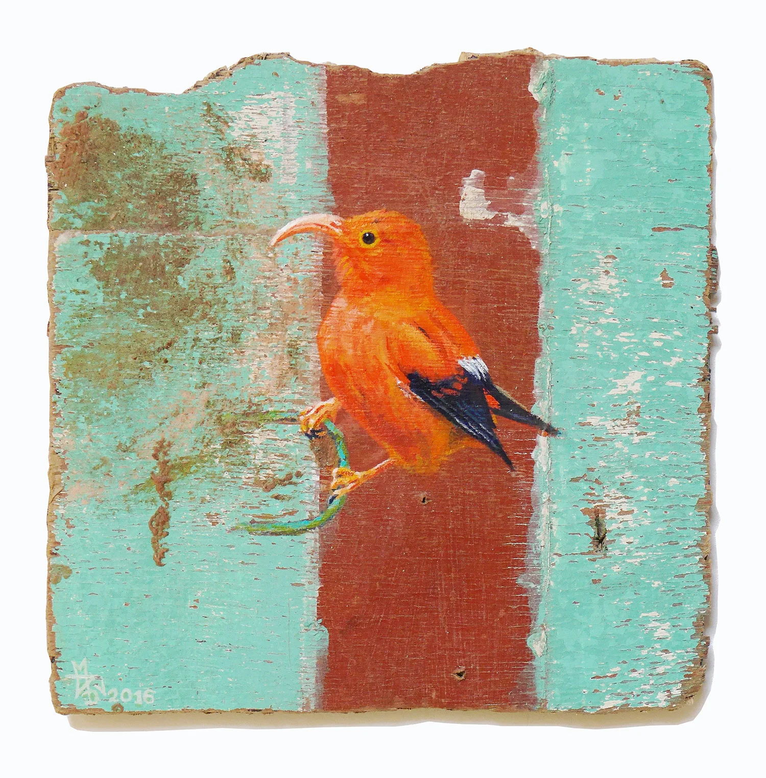 On_The_Line_Hawaiian-Honey-Creeper_72dpi_1500p width.jpg