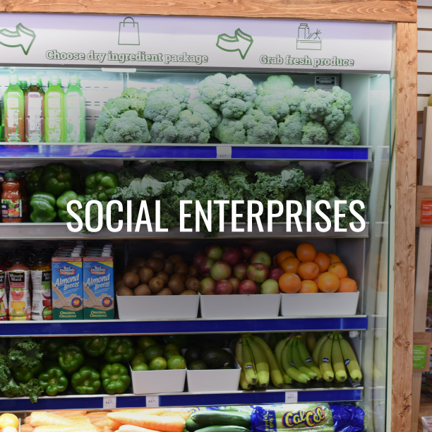 SOCIAL ENTERPRISES
