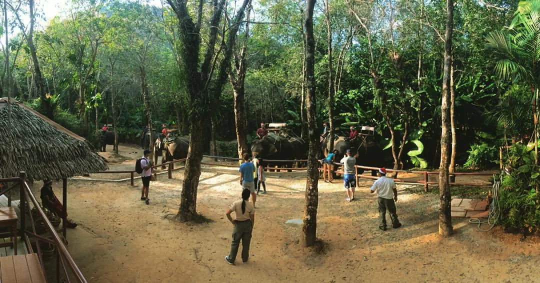 Elephant ride thru the mountain. 🐘