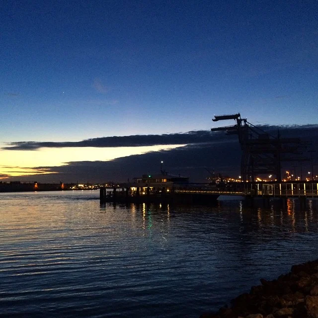 Evening with the dinosaurs. #oakland #sunset #jacklondonsquare #goodnight