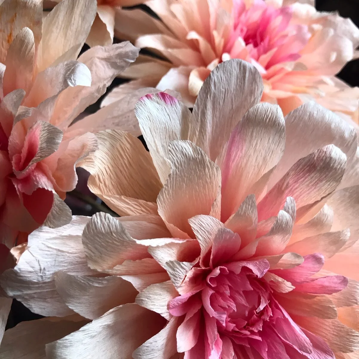 Paper Dahlia crafting with @hannahthompsettsculpture a la @tiffanieturner ! So excited to see them all together- only 2000 more to go! ✨👰🏼🤵🏼✨