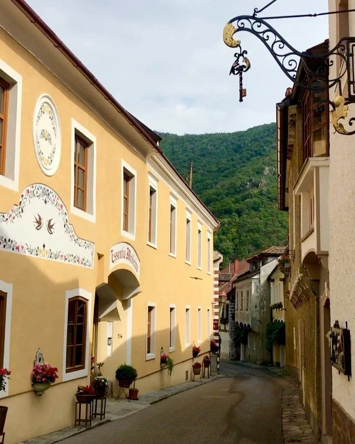 This time last year- These happy swallows playing in the narrow village streets along the Danube River outside of Vienna, Austria. 🇦🇹 #austria #vienna #viennaaustria #krems #spitz #danube #danuberiver #travel #bird