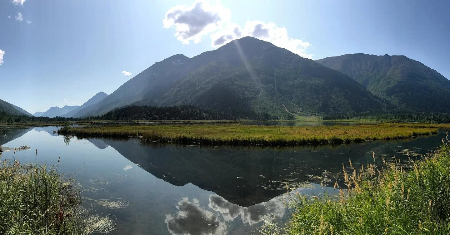 Alaska, Summer 2019. Stopped here for a few minutes on our way from Seward to Anchorage just to take in the late summer peace. Trying to remind myself what that feels like before we begin this crazy year. #latesummer #alaska #alaskasummer #sewardalas