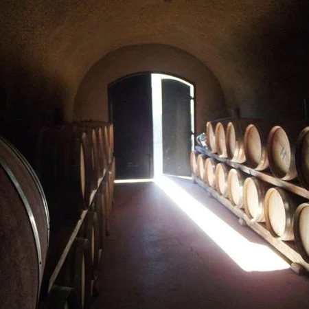 cellar.jpg