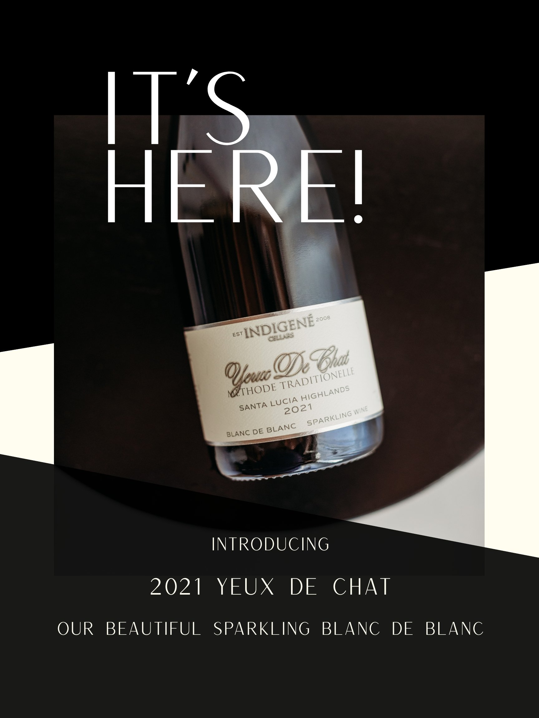 Close up view of sparkling wine bottle label.