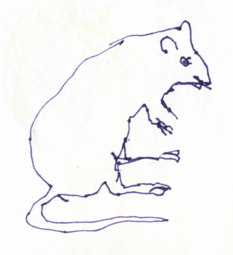 mouse 2