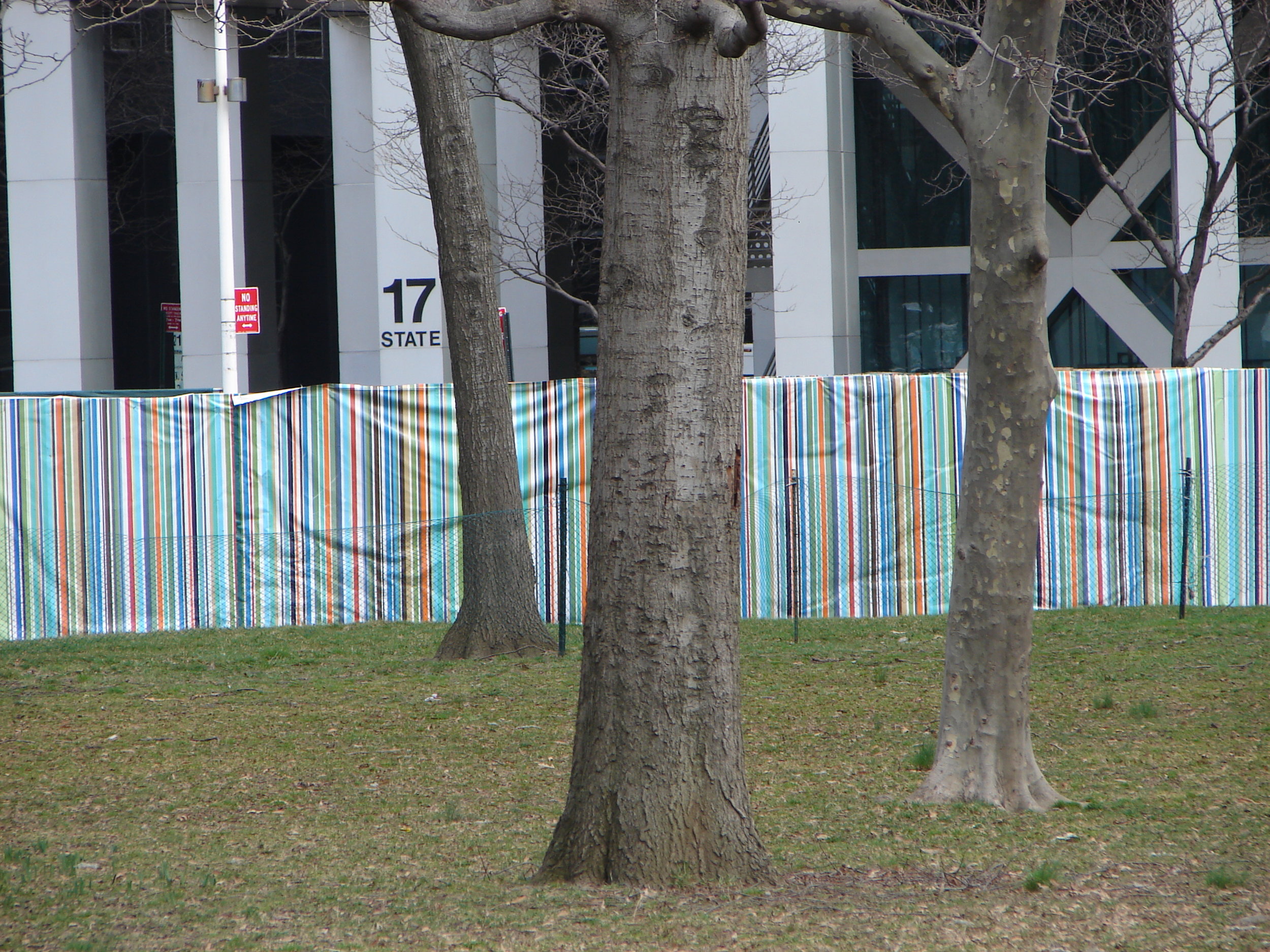 stripes and trees