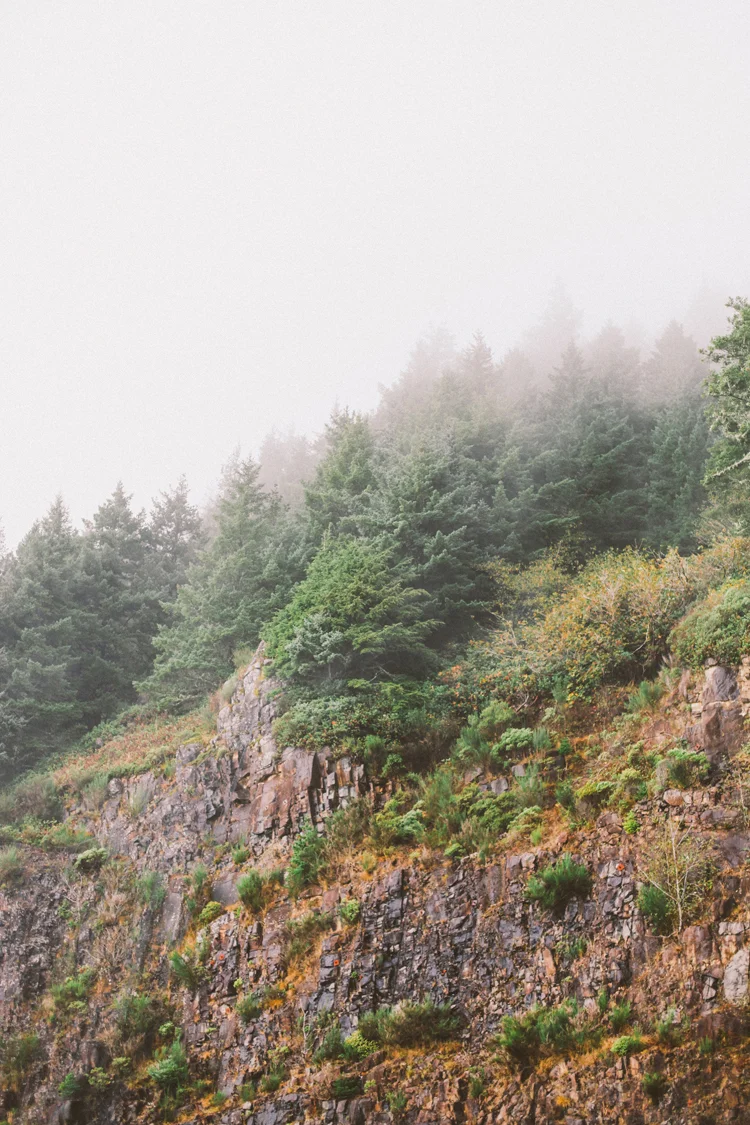 oregon (c)evelyneslavaphotography 8016713080 (37).jpg