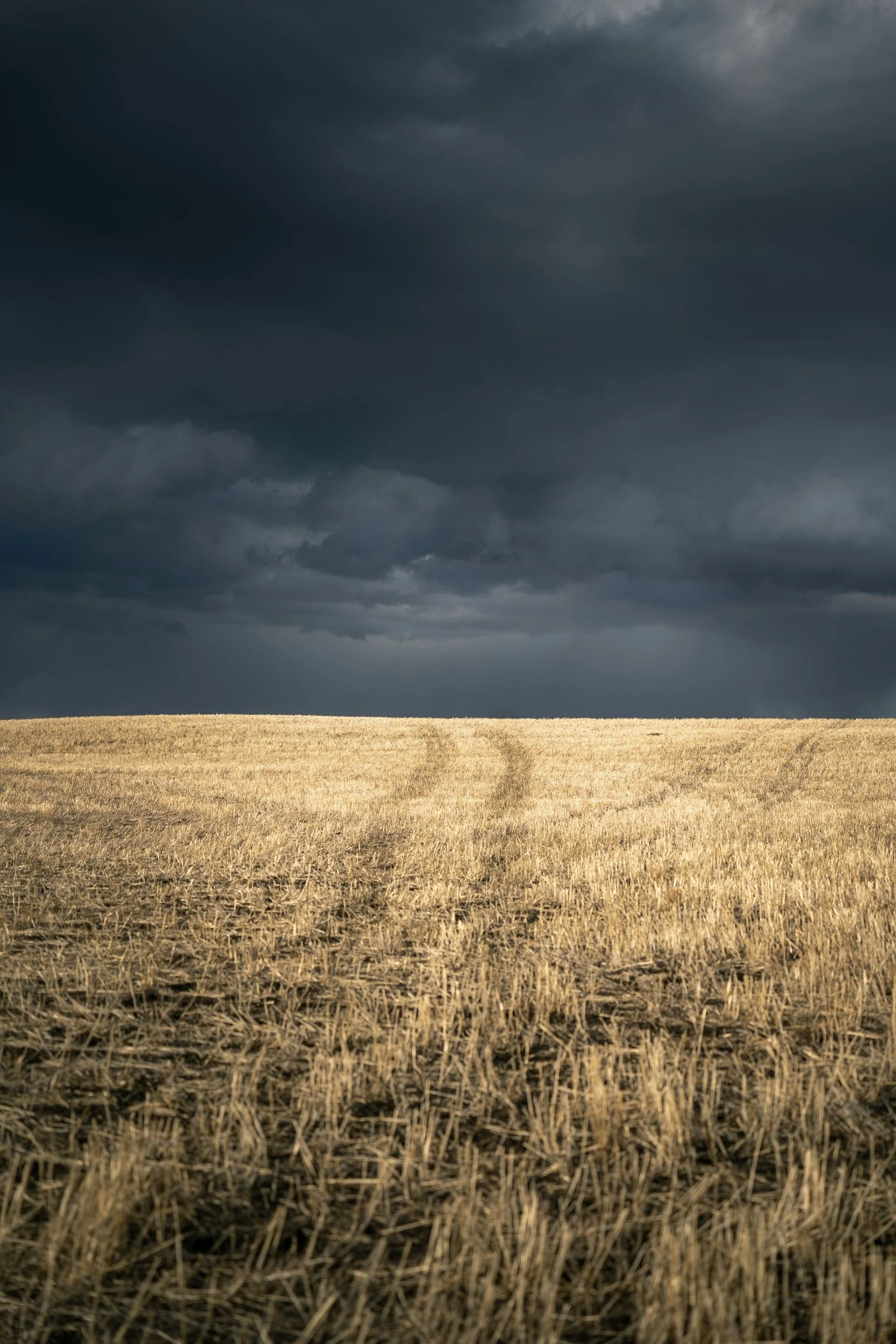 Grief. Part Two: The Grief of Losing People When You Start to Heal