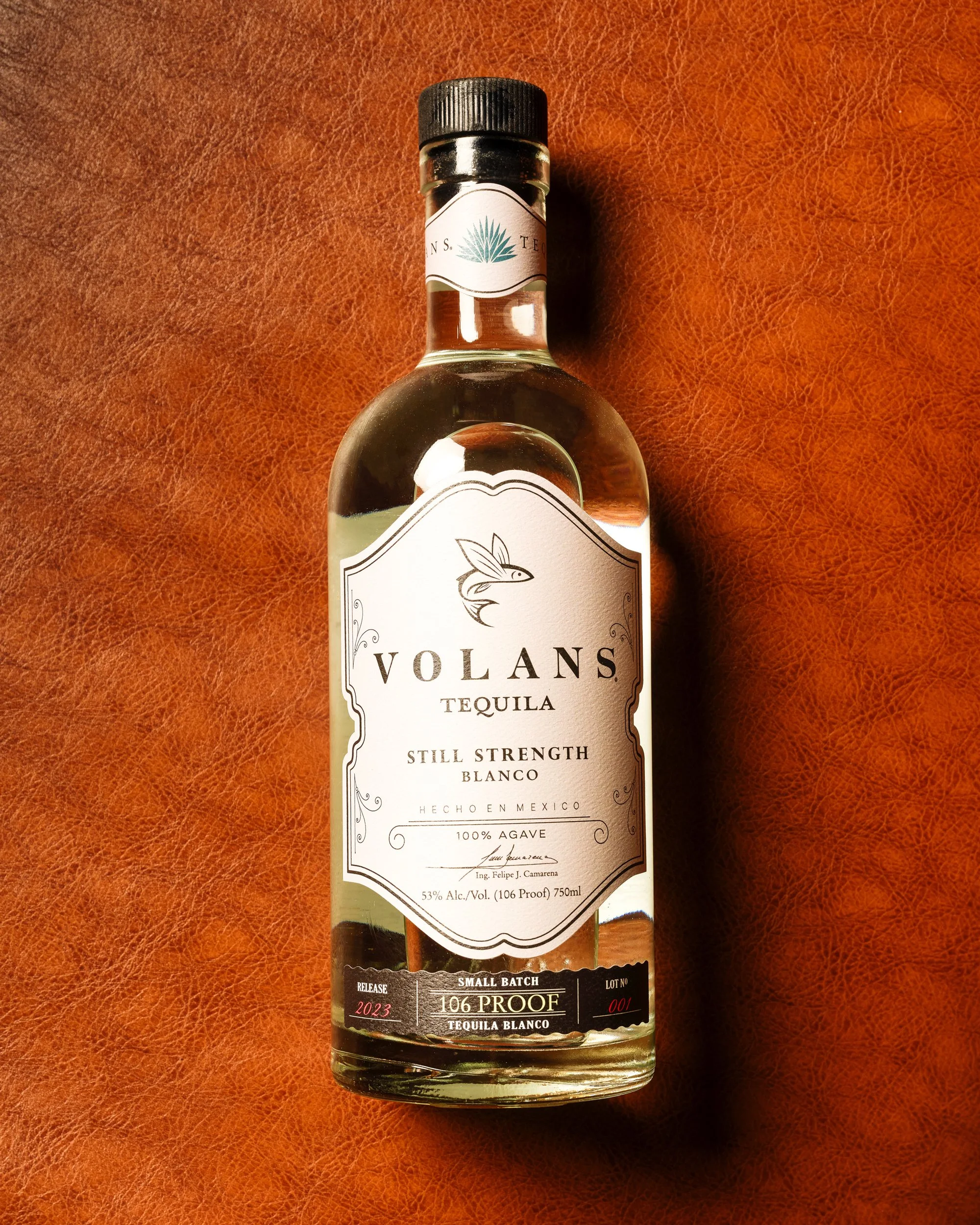 20251208_VolansHoliday5863ws.jpg