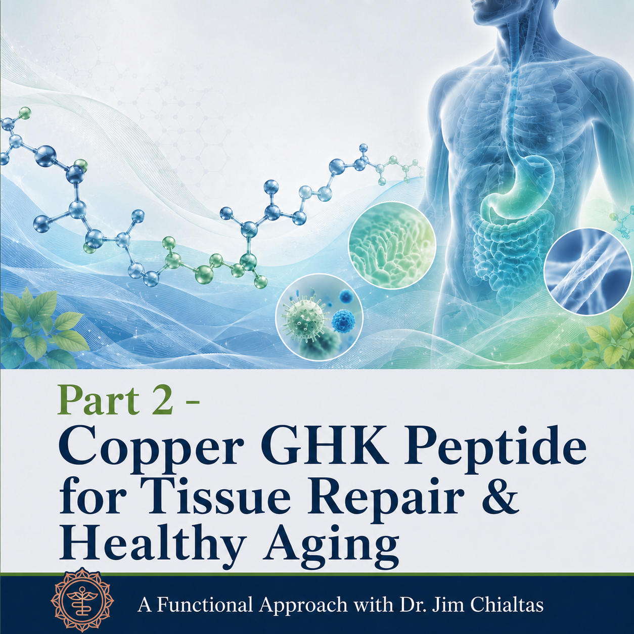 Part 2 - Copper GHK: A Peptide for Repair, Resilience, and Healthy Aging
