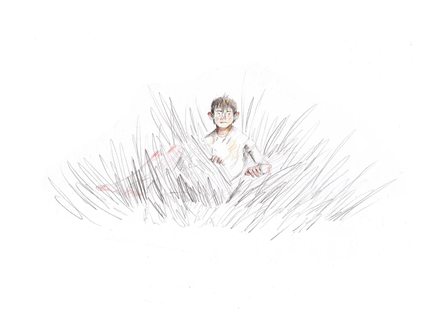 marsh.jpg