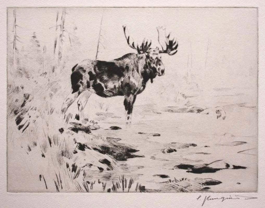 Carl Rungius (American, 1869 – 1959)