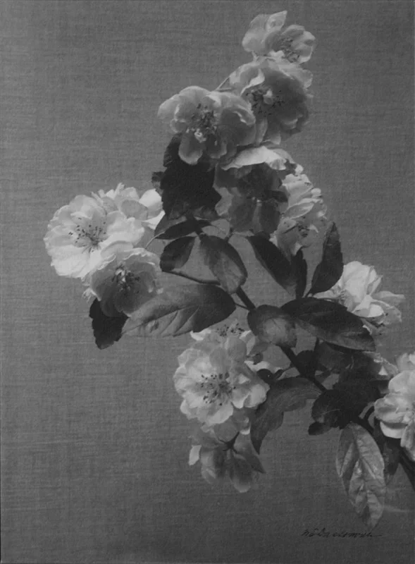 William E. Dassonville (American, 1879-1957)