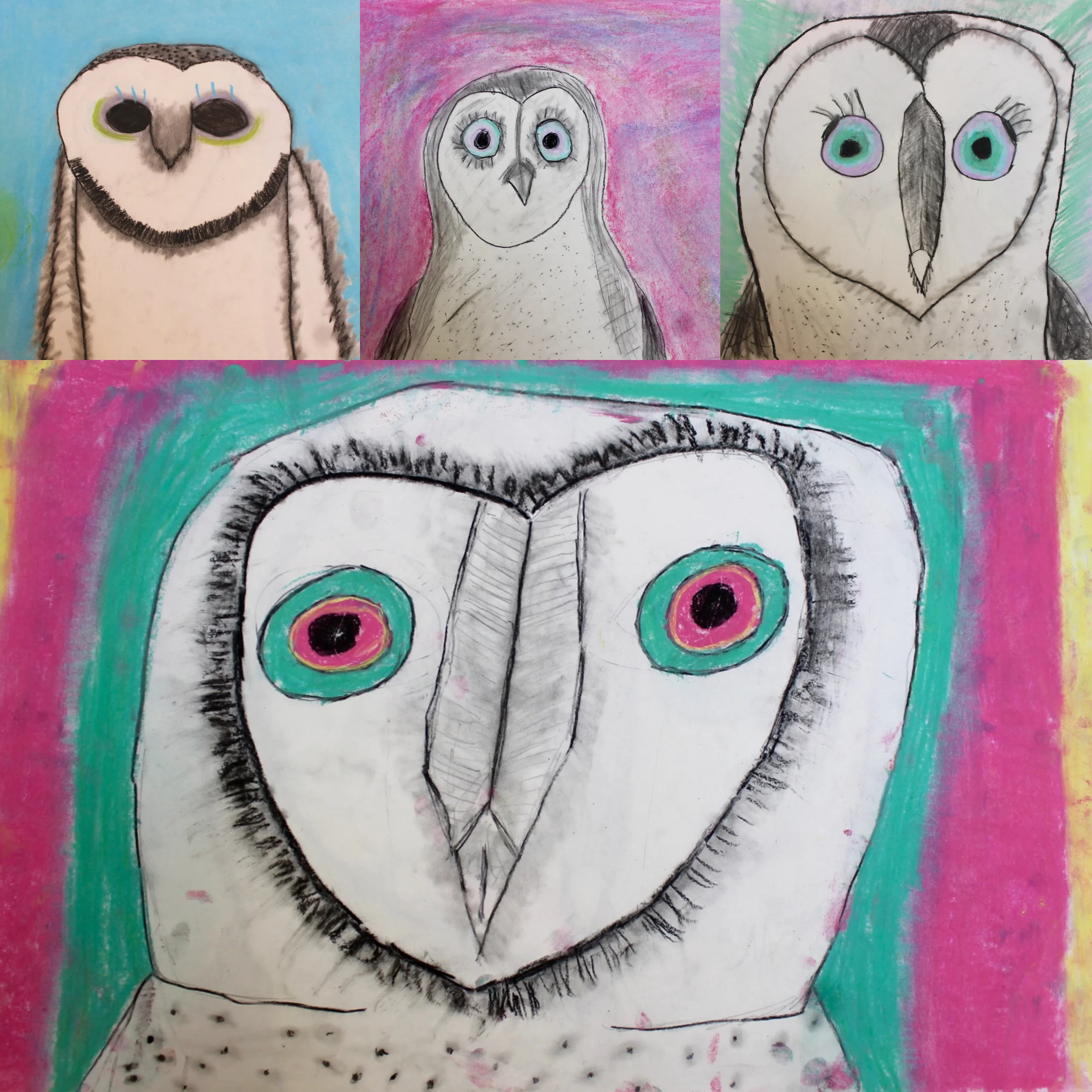 owlcollage.jpg