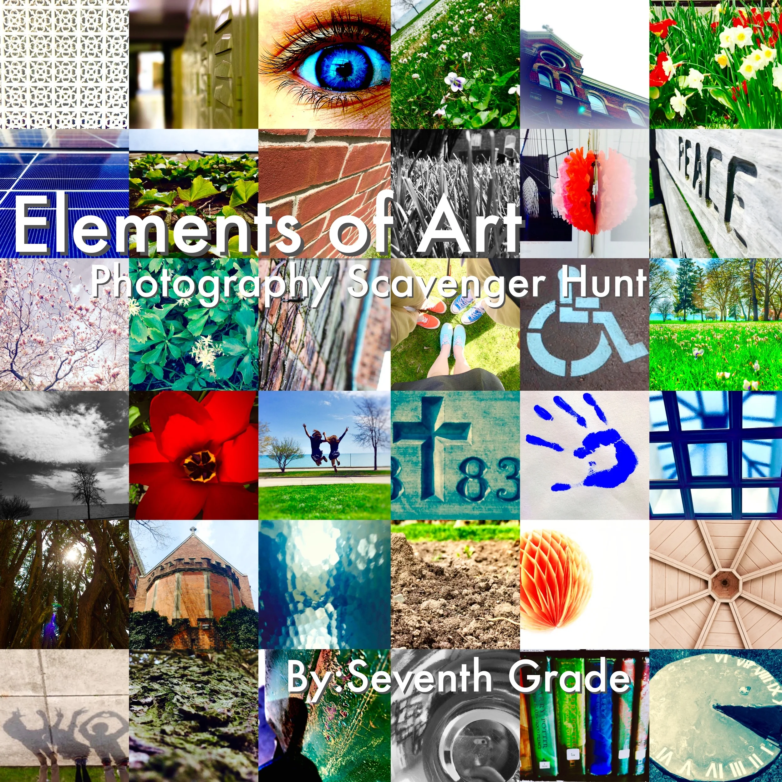 Elements collage final.jpg
