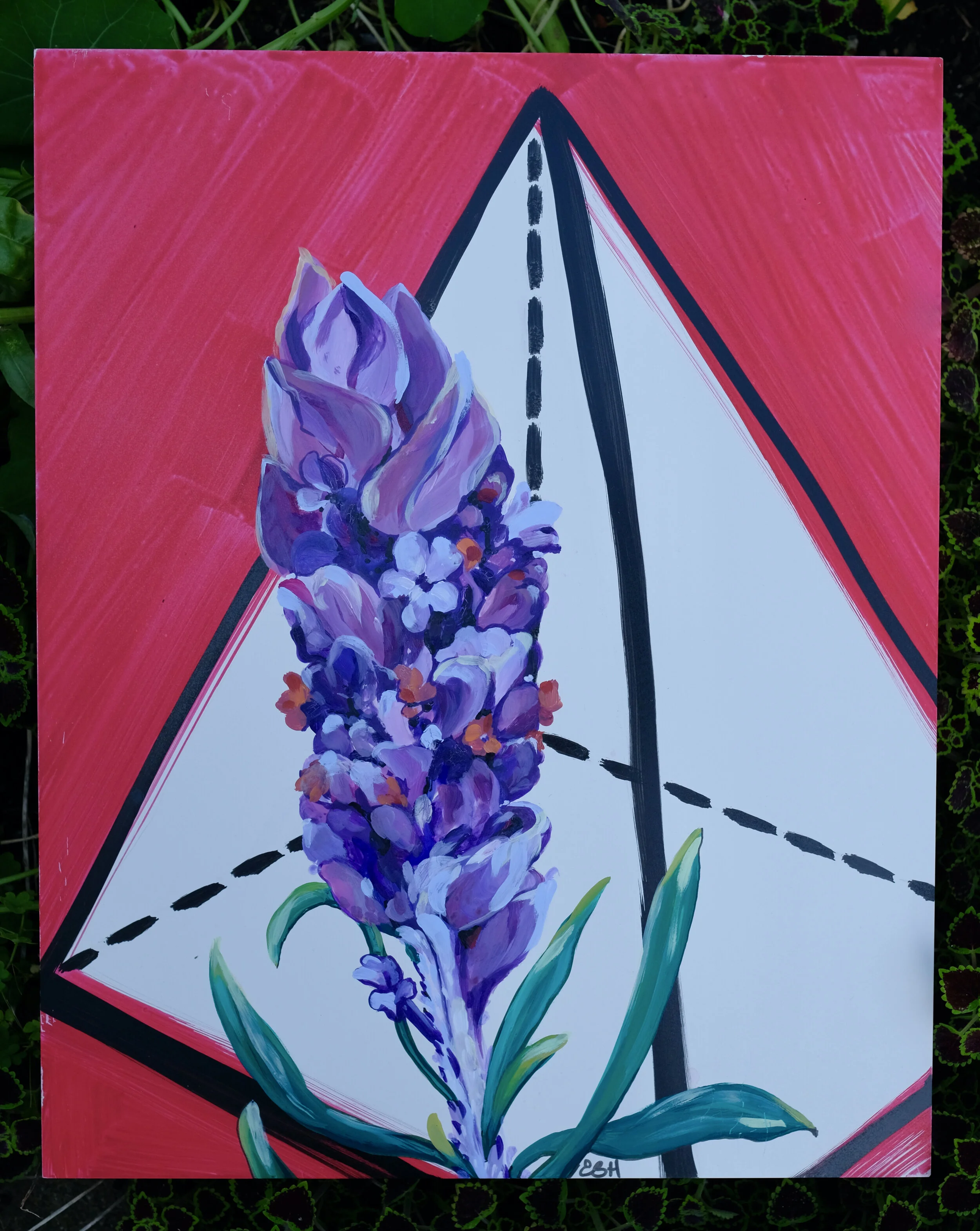 DSCF7228.JPG