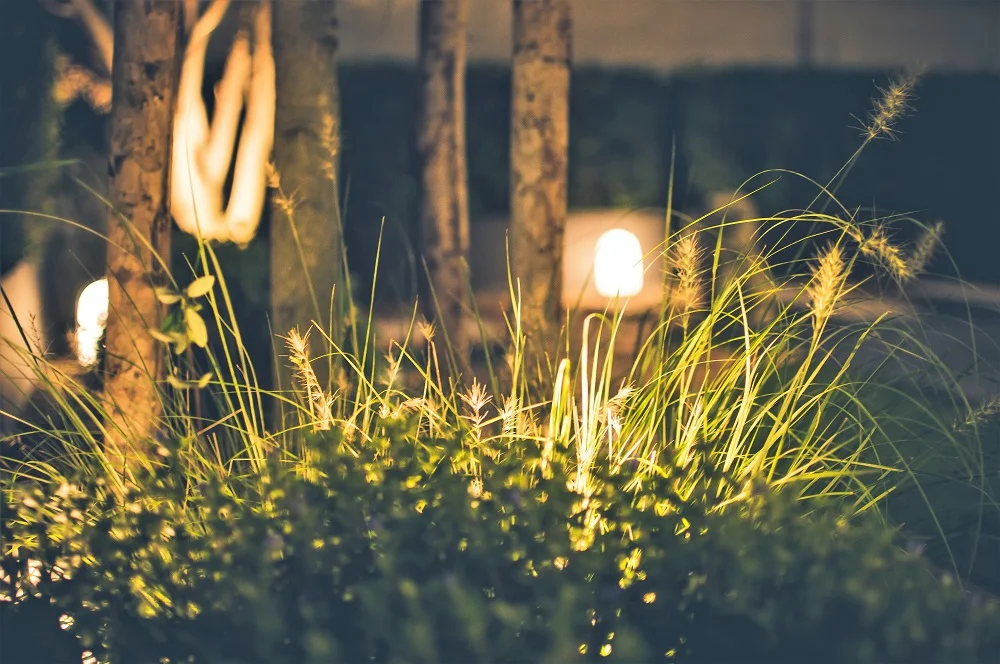 lightscape1.jpg