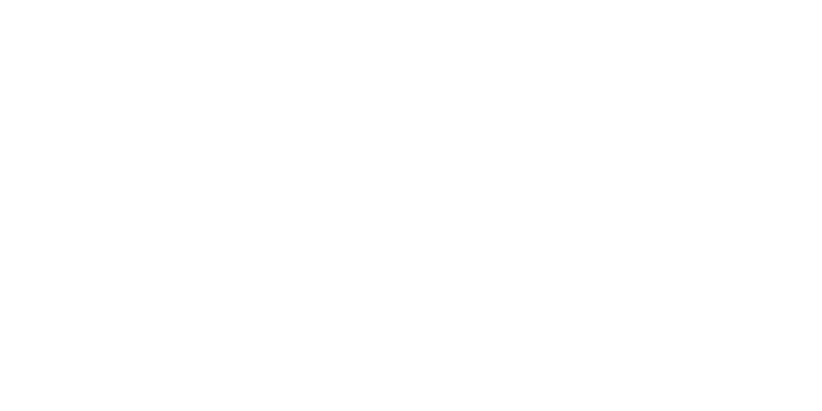 The Burdine Johnson Foundation 
