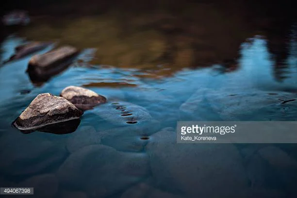 Photo by Kate_Koreneva/iStock / Getty Images