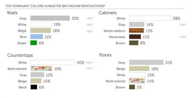 Bathroom Renovation color choices.JPG