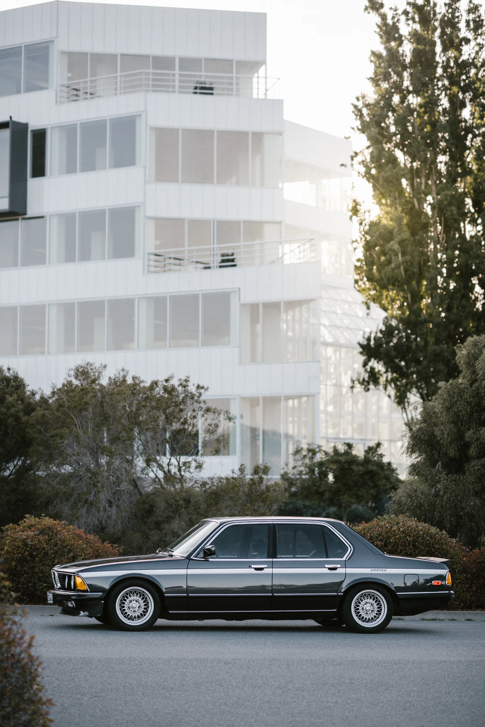 DSC_7687-Edit.jpg