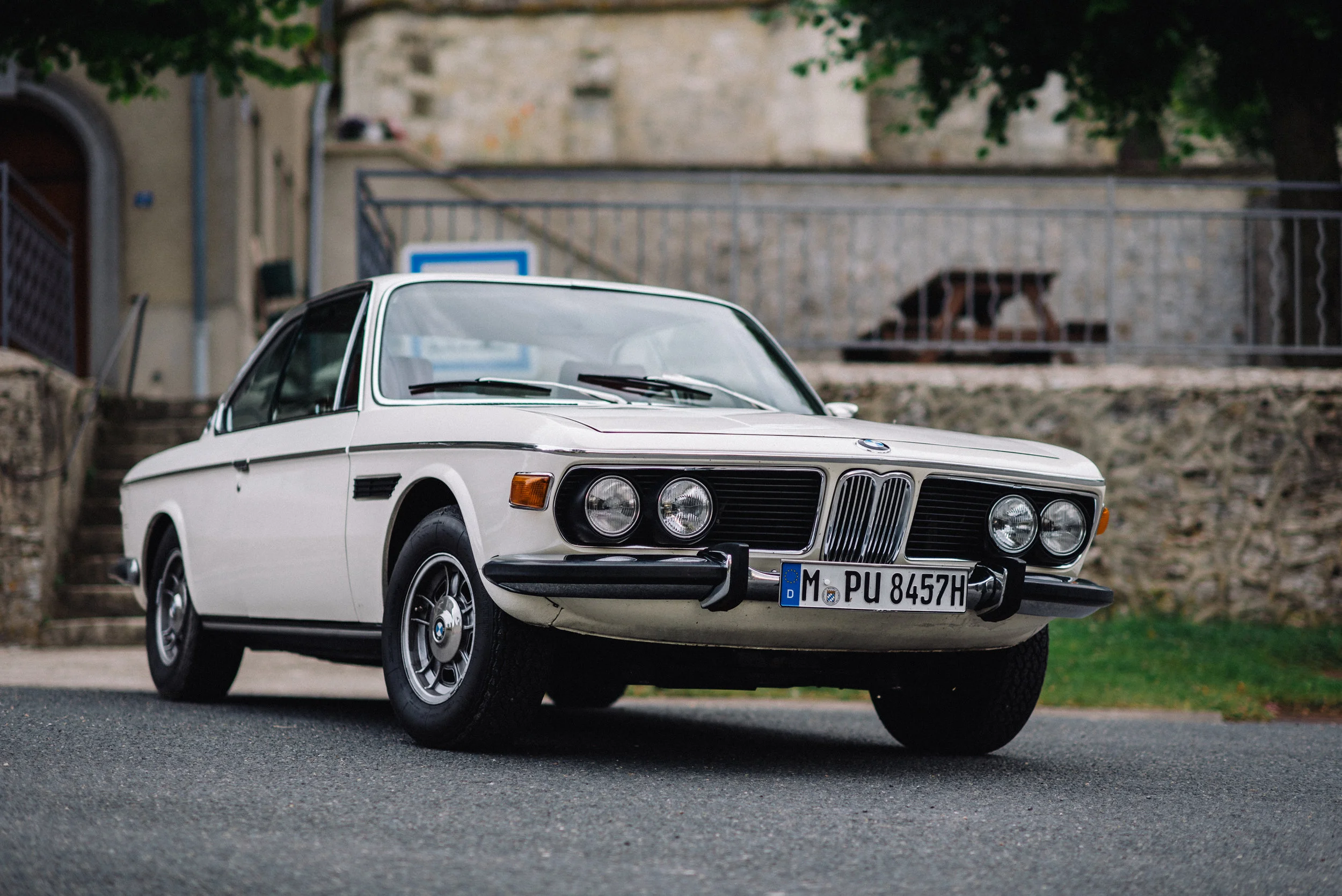 DSC_4637-2.jpg
