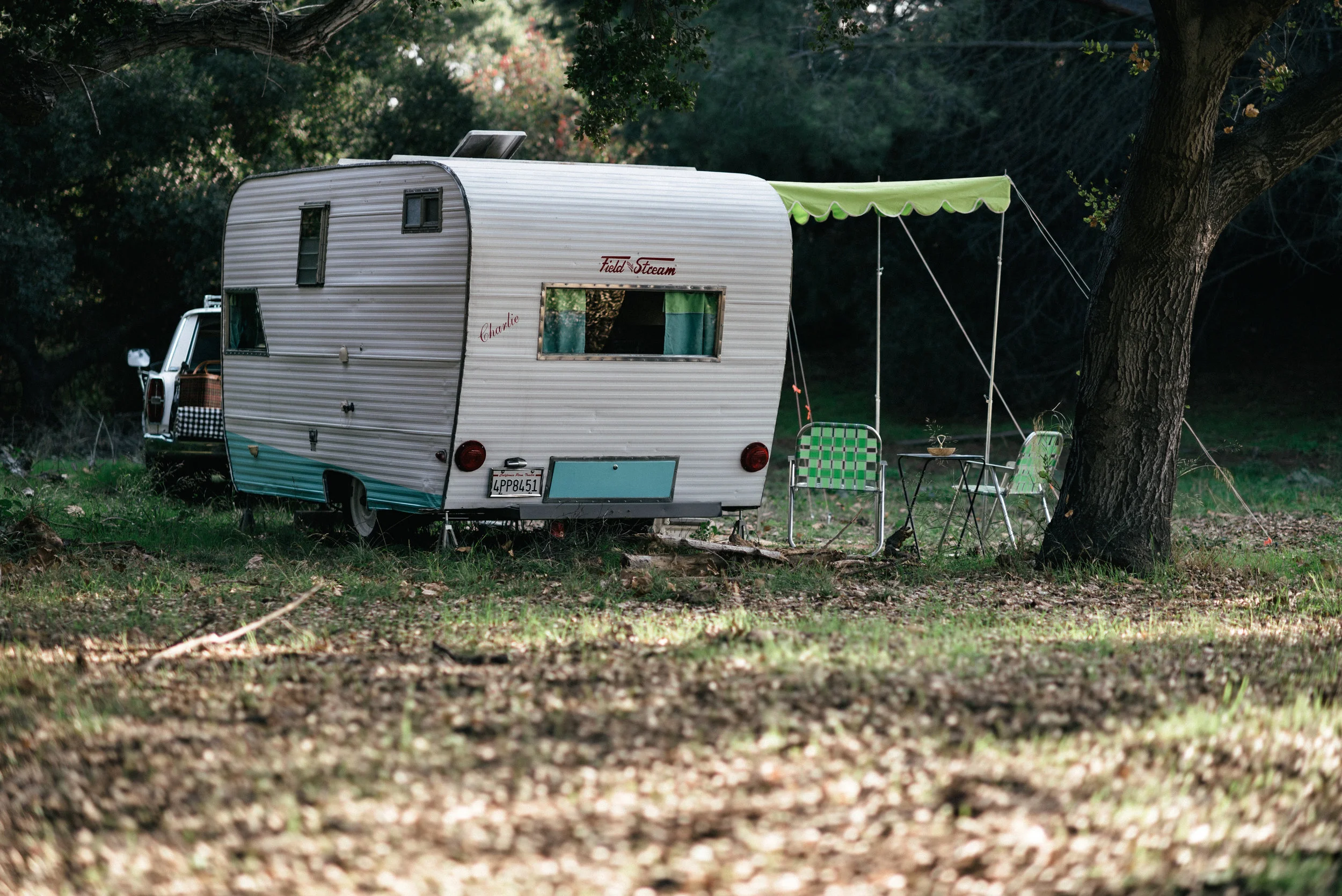 DSC_2331.jpg