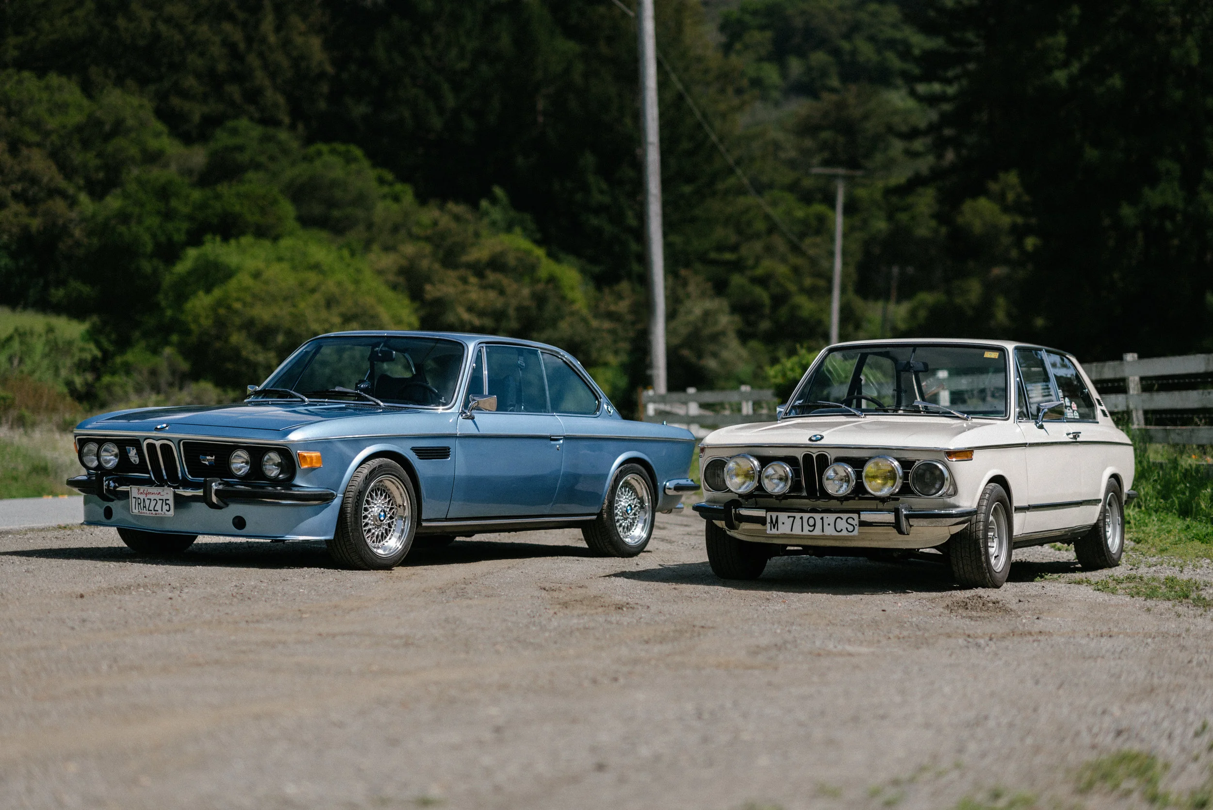 DSC_2986-Edit.jpg
