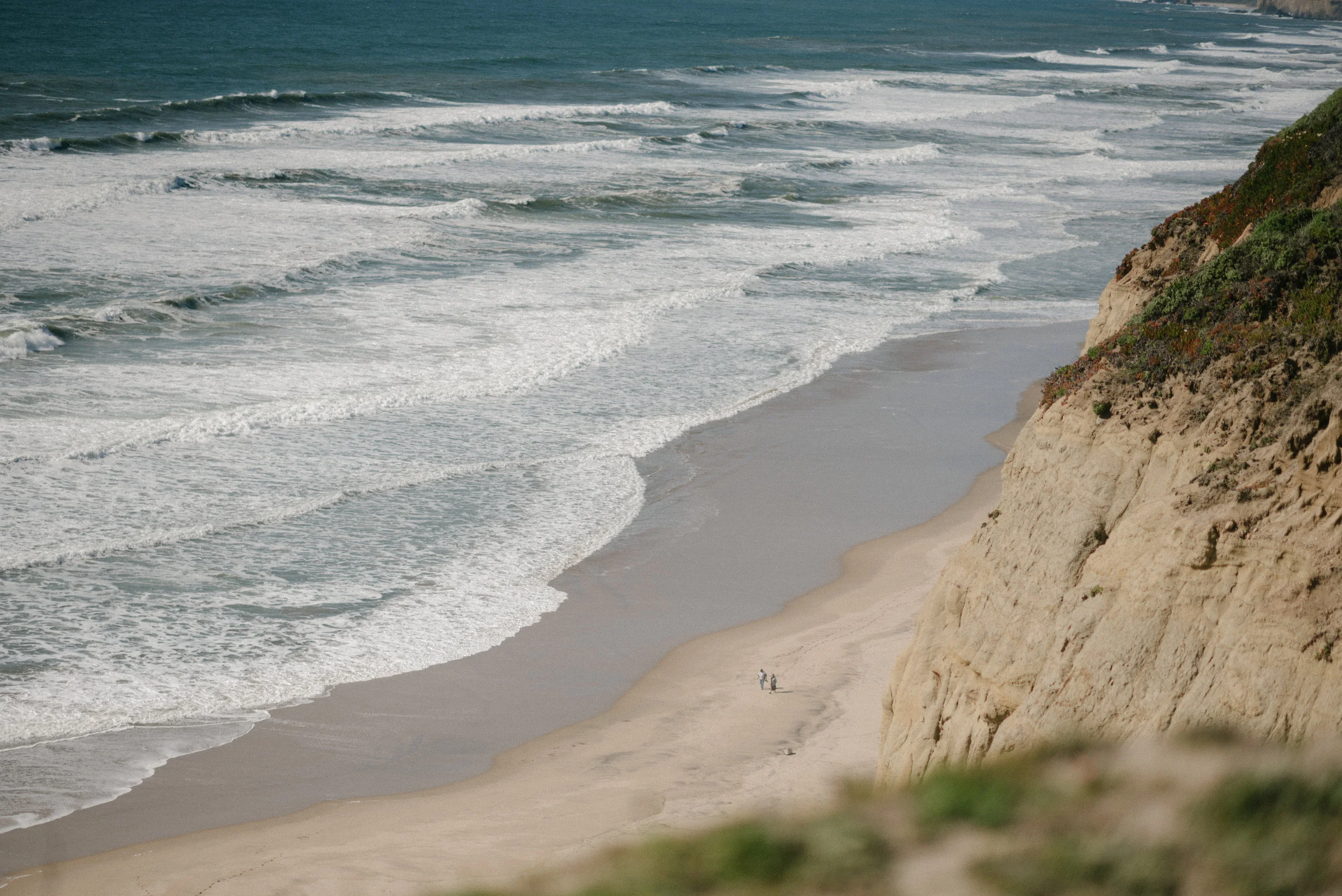 DSC_3150.jpg