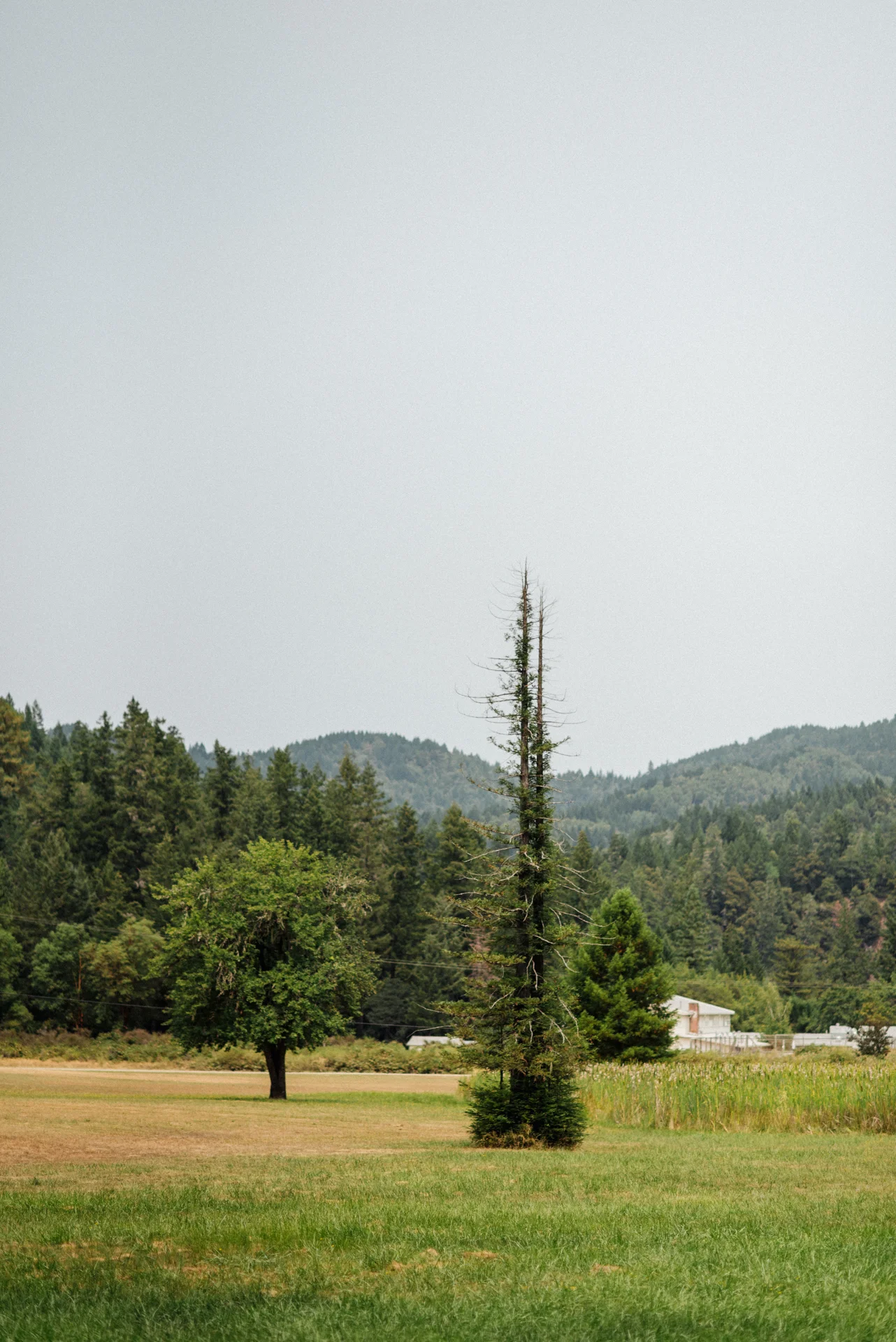 MiataSummerRoadTrip_Day2-38.jpg