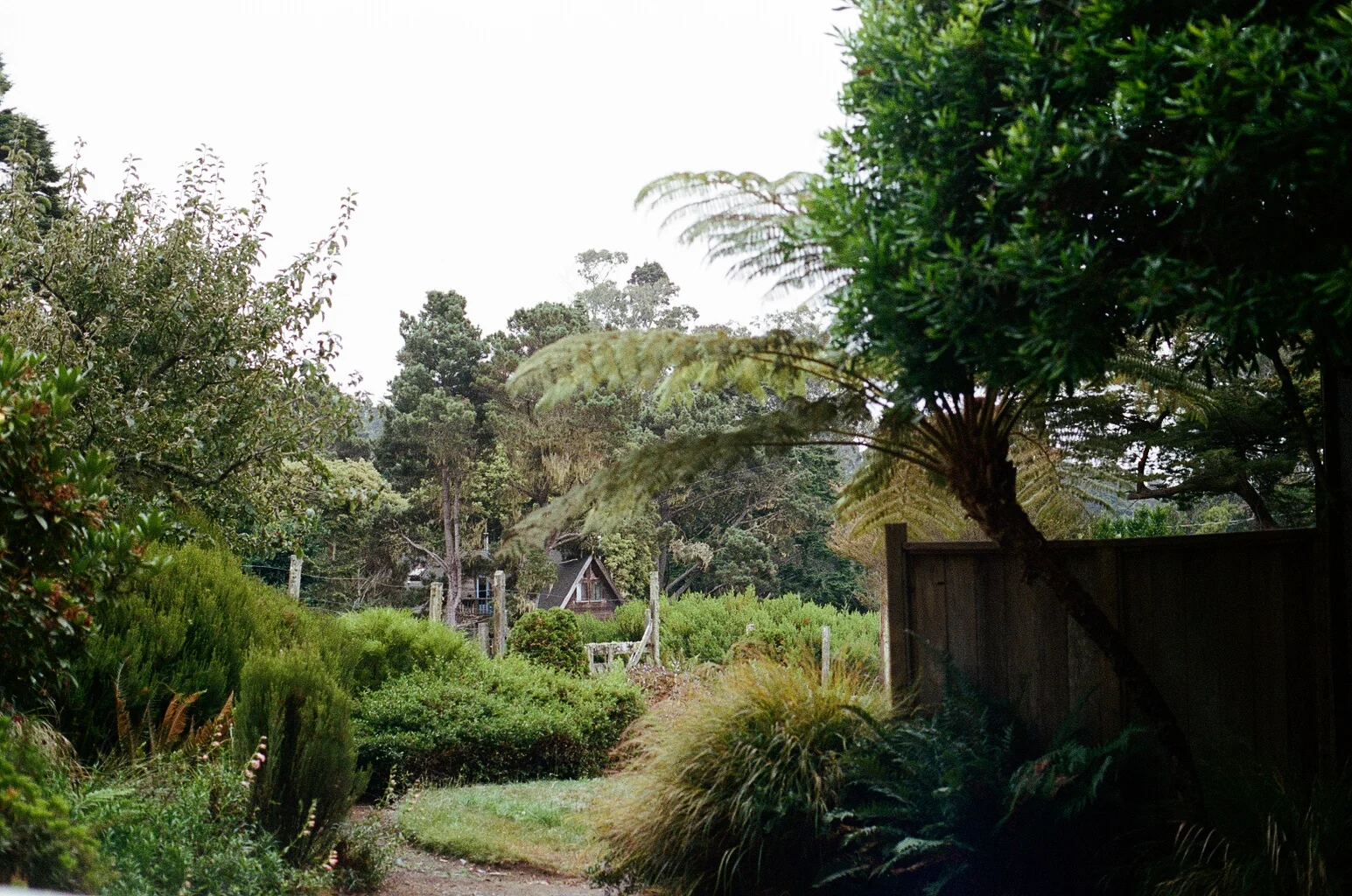 2987_28A.jpg