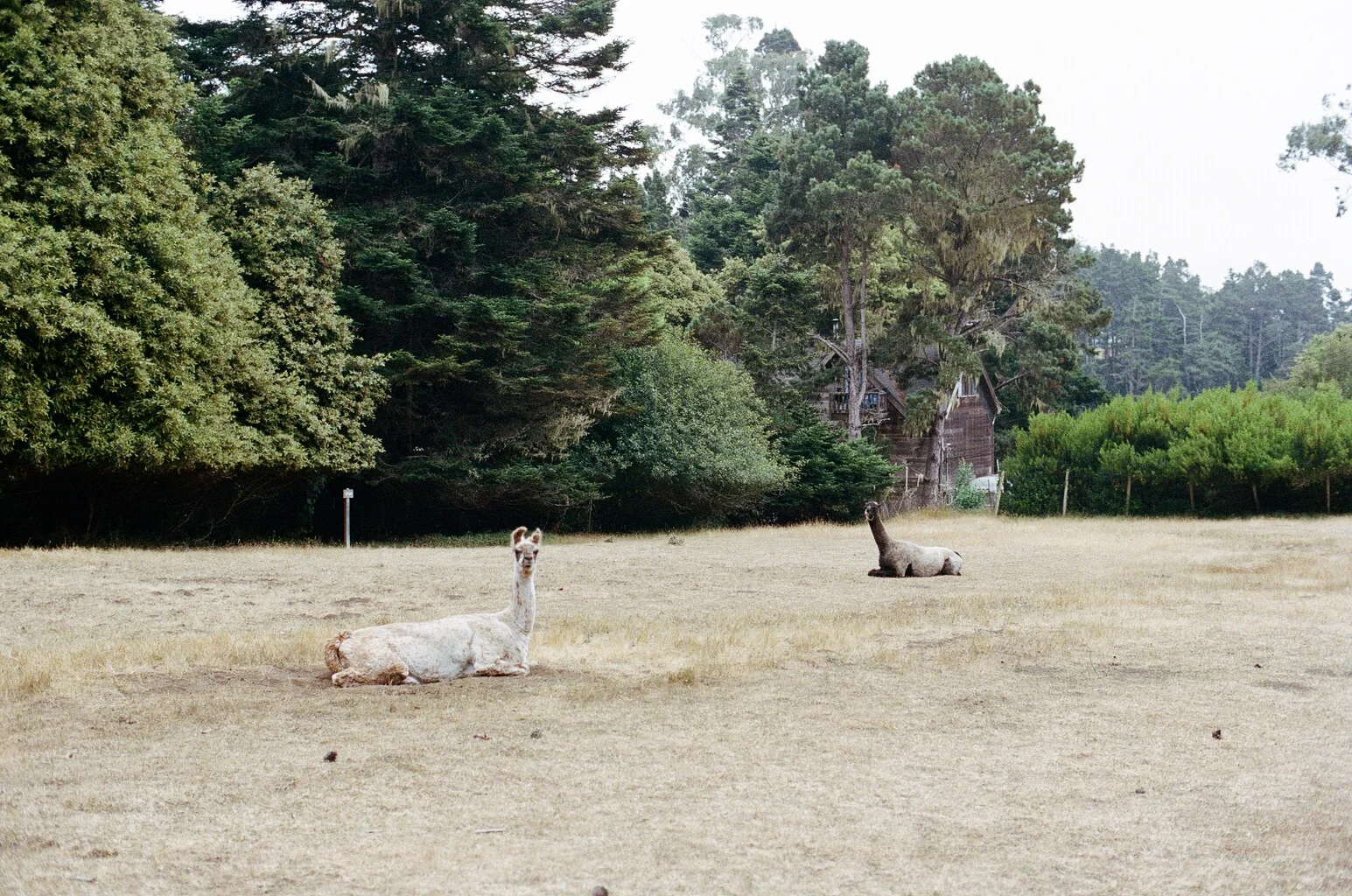 2987_23A.jpg
