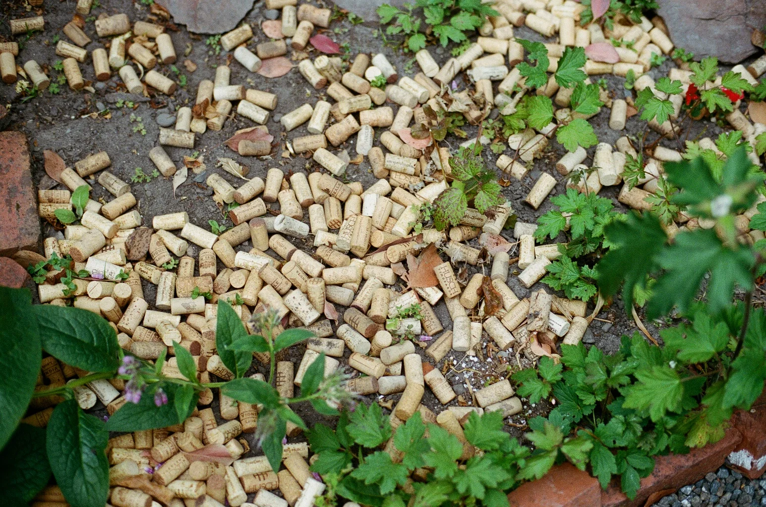 2987_18A.jpg