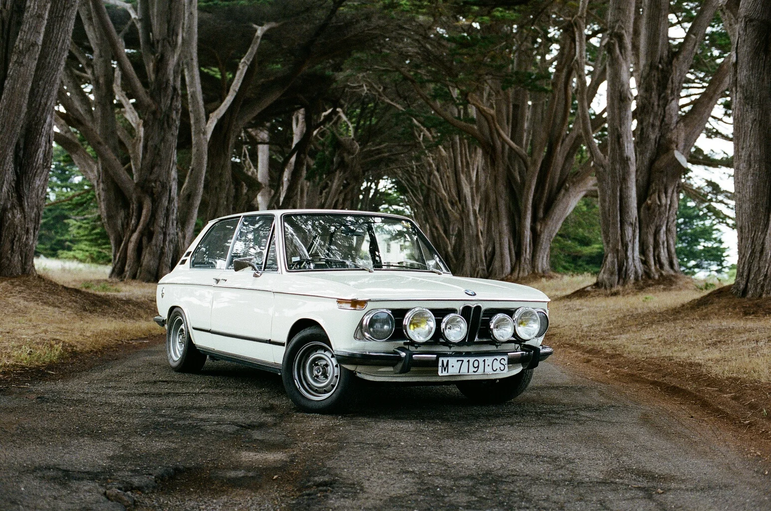 2985_19A.jpg