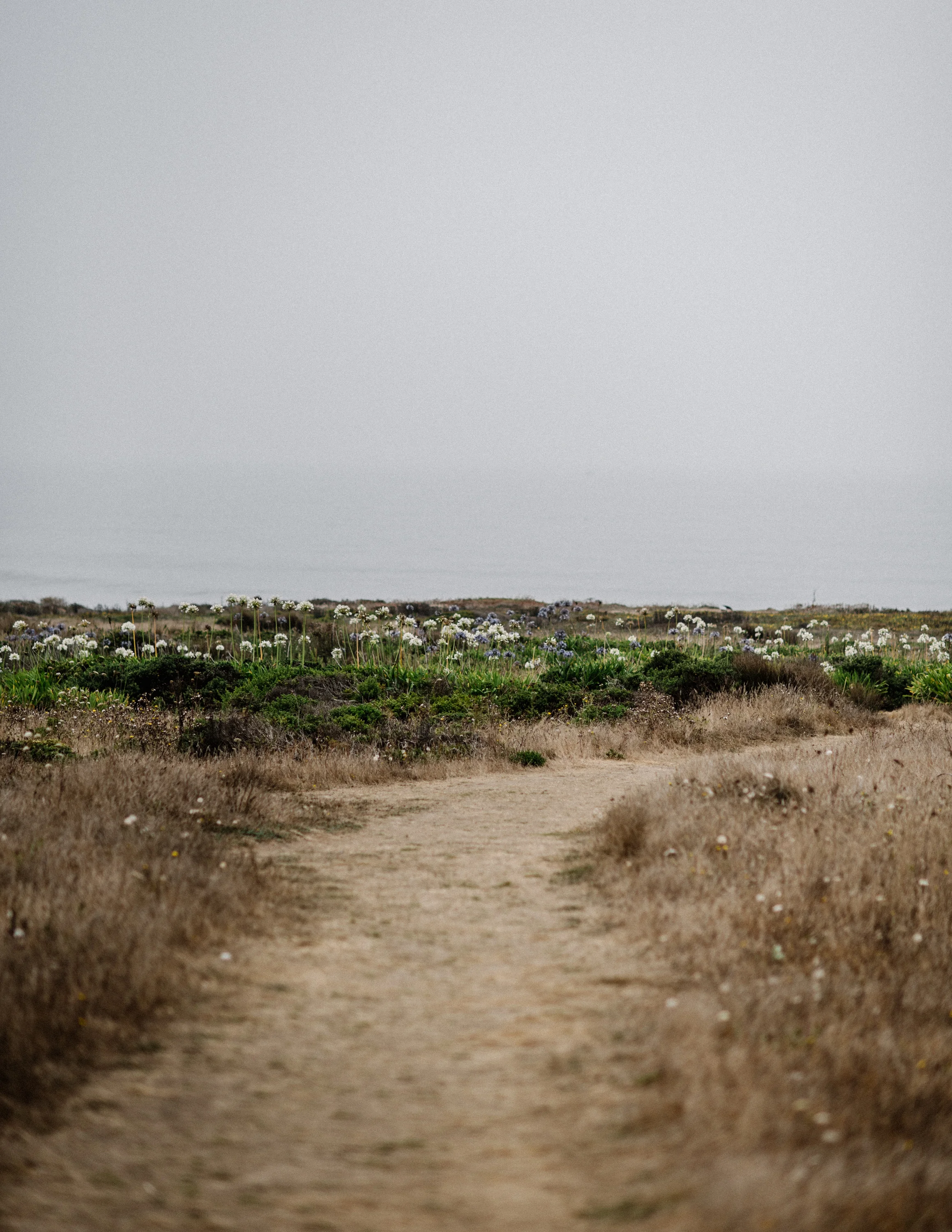 DSC_1353.jpg