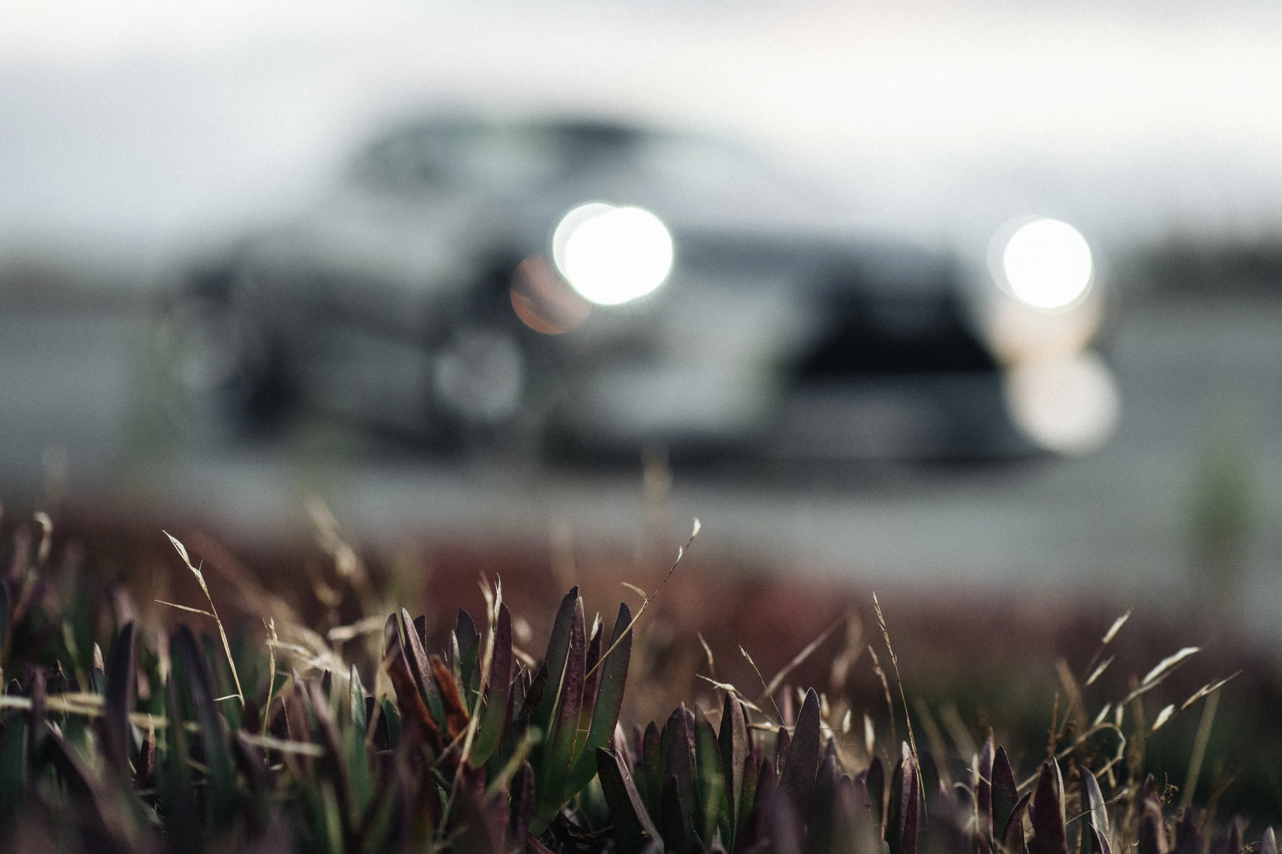 Lexus_LC500h-60.jpg