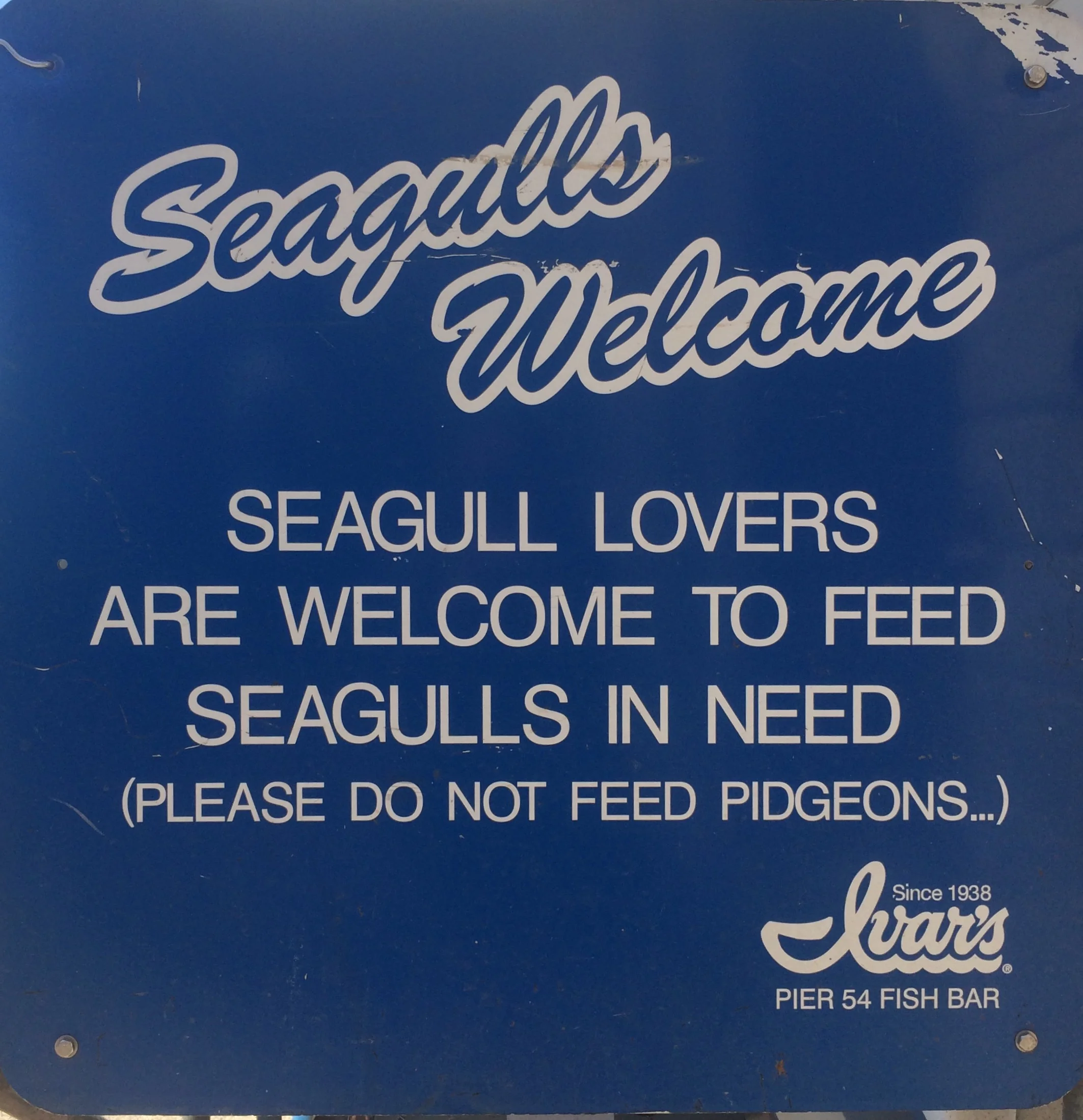 Don't Feed the Pigeons