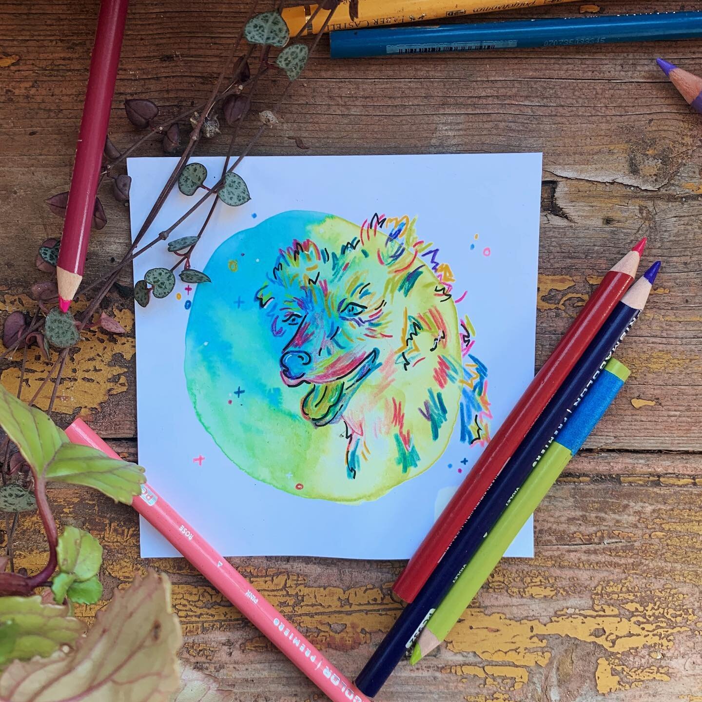 new watercolours I&rsquo;ve been meaning to try out + missing my pup dog = one very colourful doggo drawing 🎨